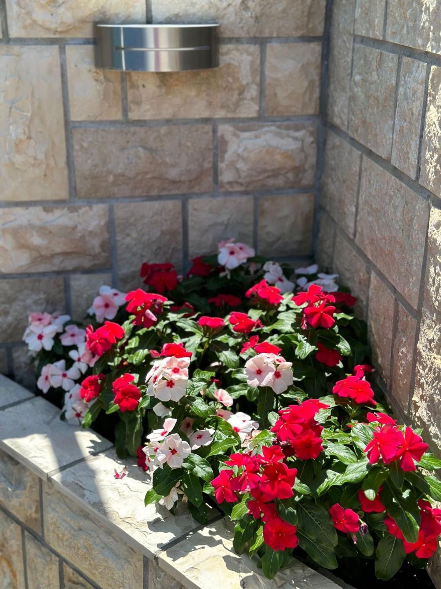 Apartments Vinse Near Rab Center Rab Town Exterior photo