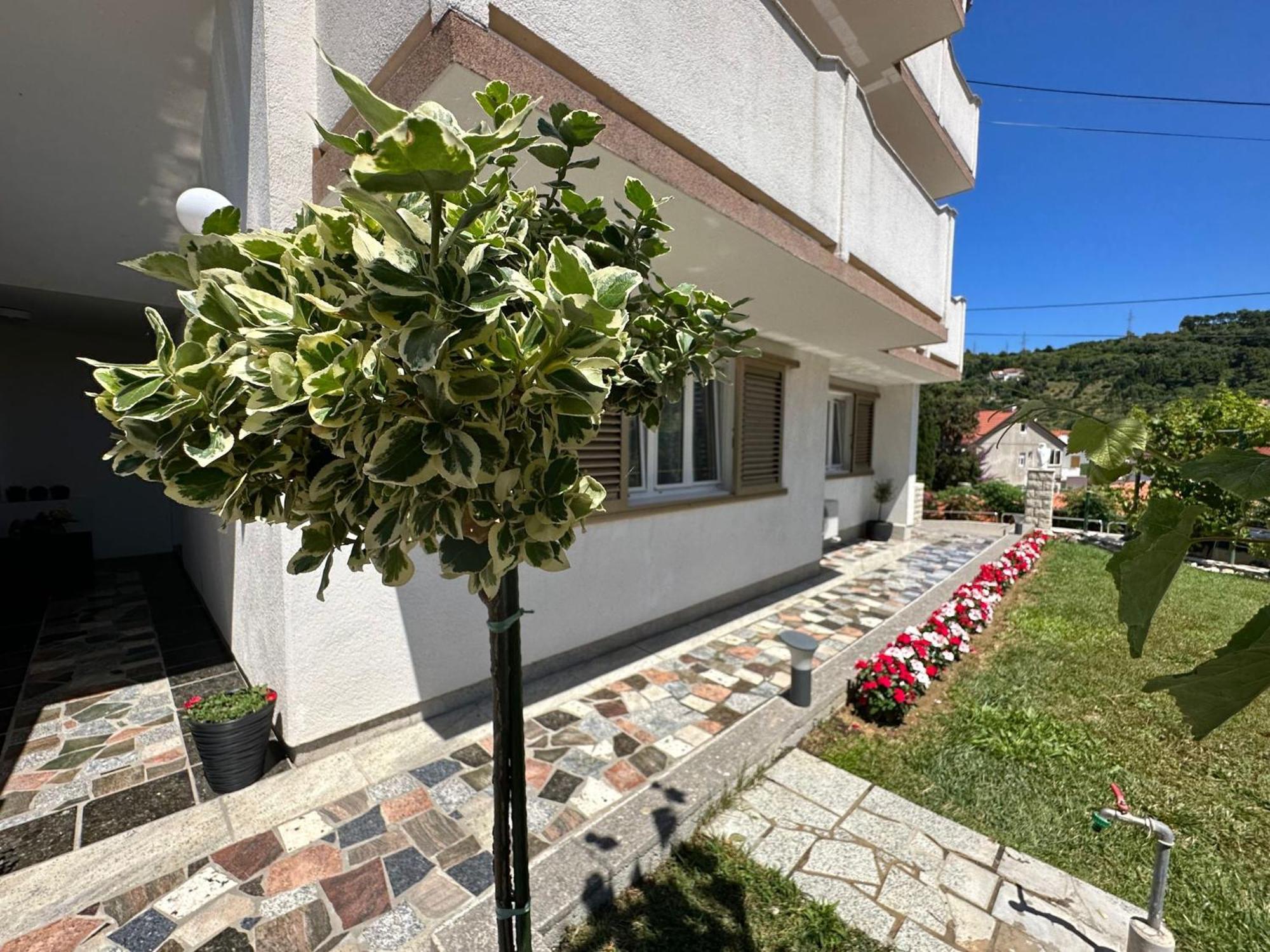 Apartments Vinse Near Rab Center Rab Town Exterior photo
