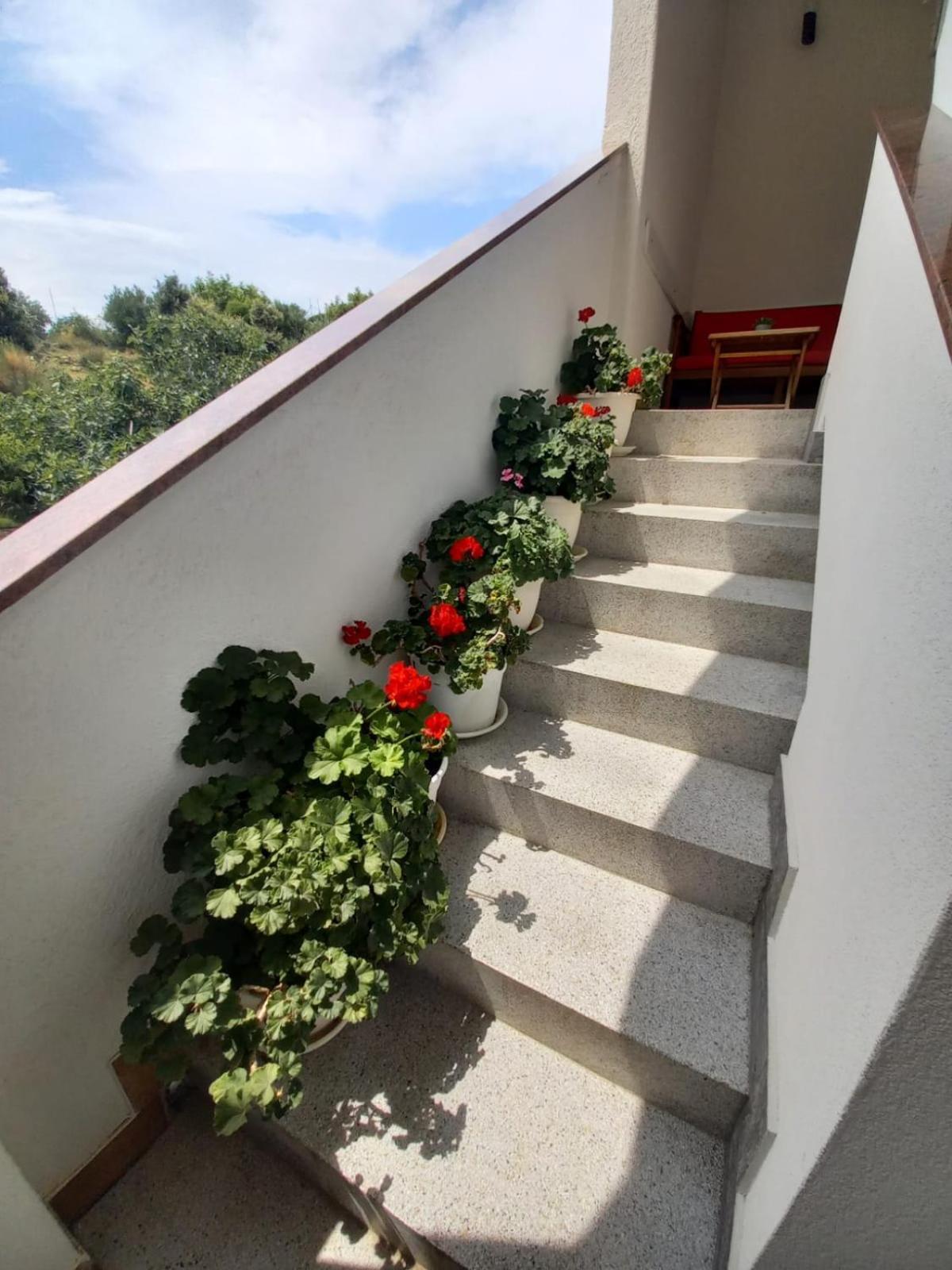 Apartments Vinse Near Rab Center Rab Town Exterior photo